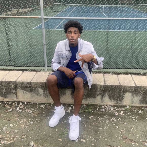 wavy_jay